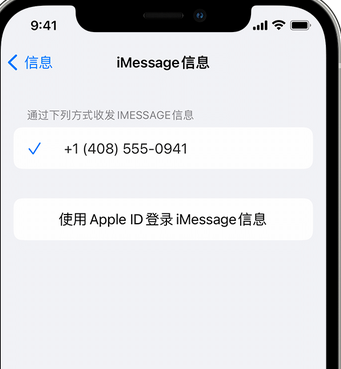 云县apple维修iPhone上无法正常发送iMessage信息 