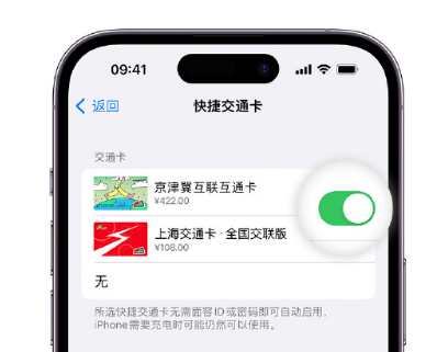 云县apple维修点分享iPhone上更换Apple Pay快捷交通卡手绘卡面 