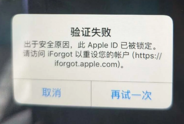 云县iPhone维修分享iPhone上正常登录或使用AppleID怎么办 