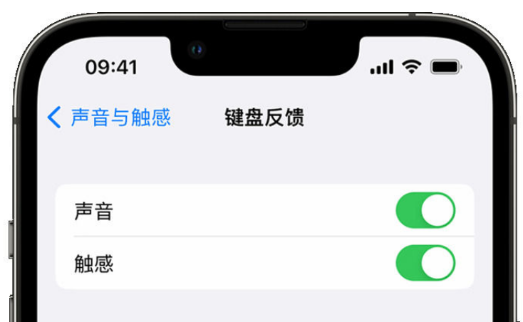 云县苹果手机维修分享iPhone 14触感键盘使用方法 