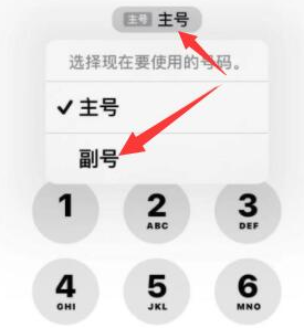 云县苹果14维修店分享iPhone 14 Pro Max使用副卡打电话的方法 