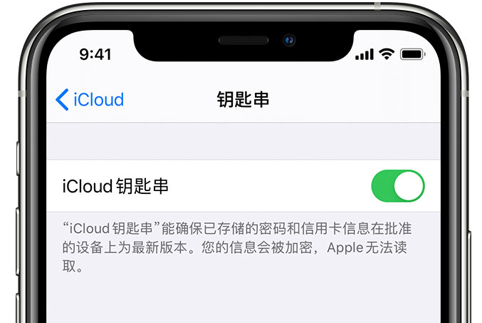 云县苹果手机维修分享在 iPhone 上开启 iCloud 钥匙串之后会储存哪些信息 