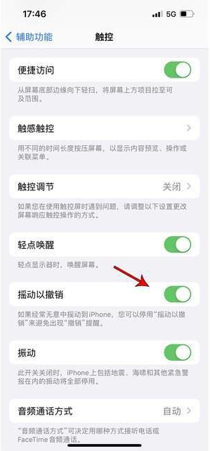云县苹果手机维修分享iPhone手机如何设置摇一摇删除文字 